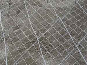 SPIDER絞索網(wǎng)（蜘蛛網(wǎng)）