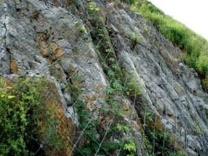 山體護坡網